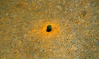 Natur - Die Geschichte unseres Planeten