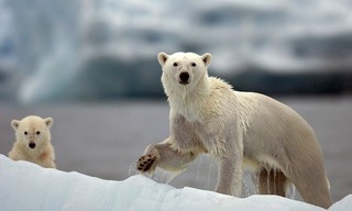 Nature's Great Events