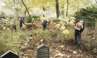 NPO Doc: We, the clean