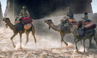 Oasen: Inseln des Lebens