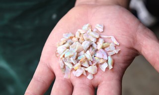 Outback opal hunters