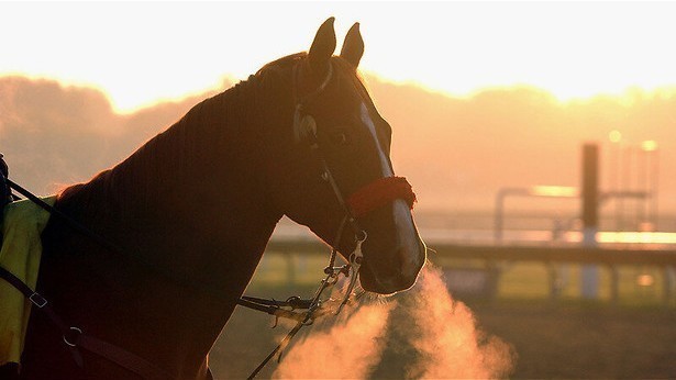 Springruiters in Madrid