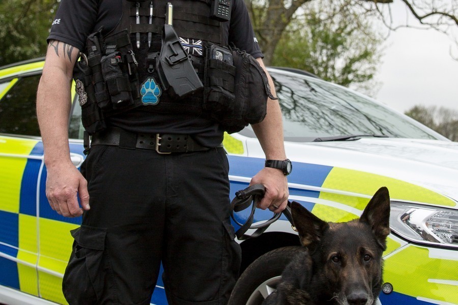 Police Interceptors: Pursuit and Capture