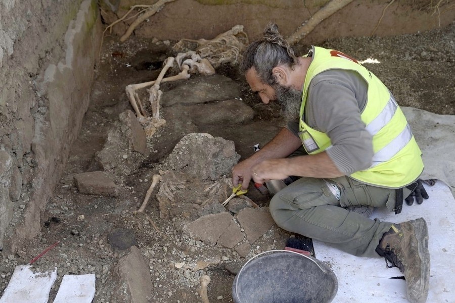 Pompeii: The New Dig