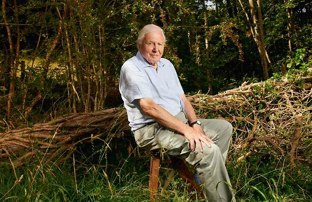 Sir David Attenborough in Planet Earth