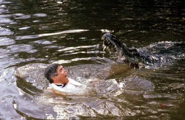 Police Academy 5: Assignment: Miami Beach