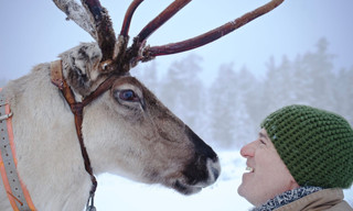 Reindeer family & me