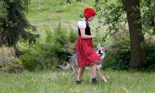 Rotkäppchen
