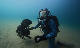 Sharks up close with Bertie Gregory