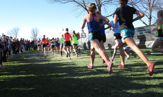 Veldlopen: Europees Kampioenschap