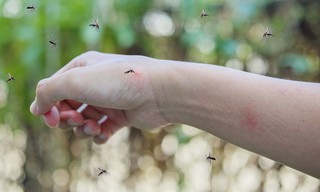 Steken en prikken in Suriname