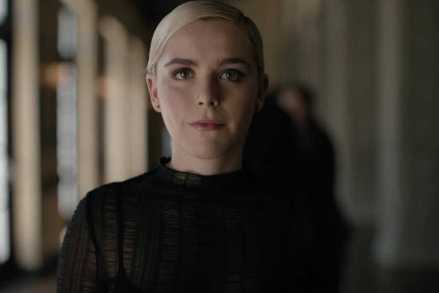 Swimming With Sharks