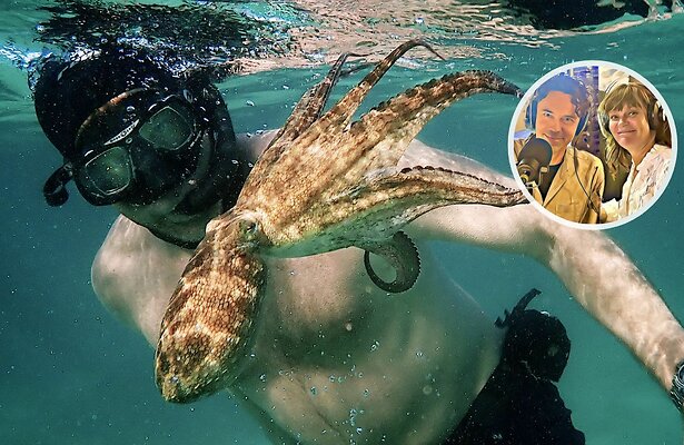 Wij Kijken Alles: My Octopus Teacher