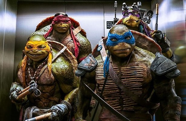 Schildpadden redden New York