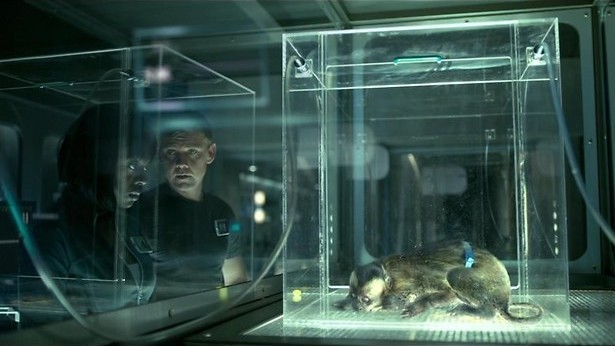 Benjamin Bratt en de buitenaardse ziekte