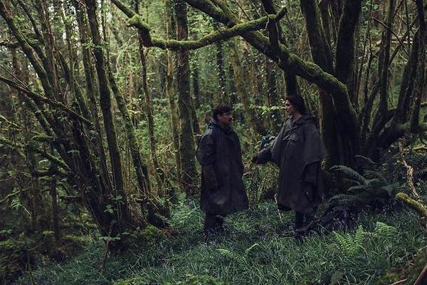 The Lobster: Colin Farrell moet snel partner vinden