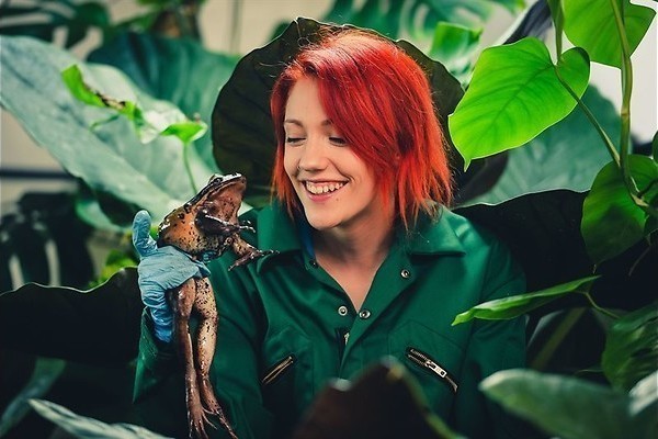 Prille pinguïnliefde