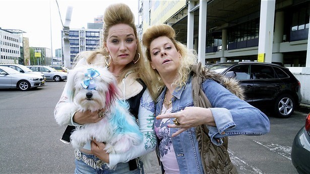 Wild geraas op kantoor