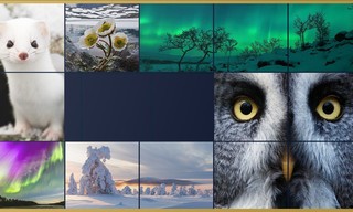 Tale of the sleeping giants