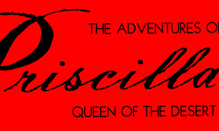 The Adventures of Priscilla, Queen of the Desert
