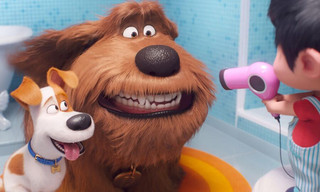 The Secret Life of Pets 2