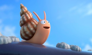 The Snail and the Whale