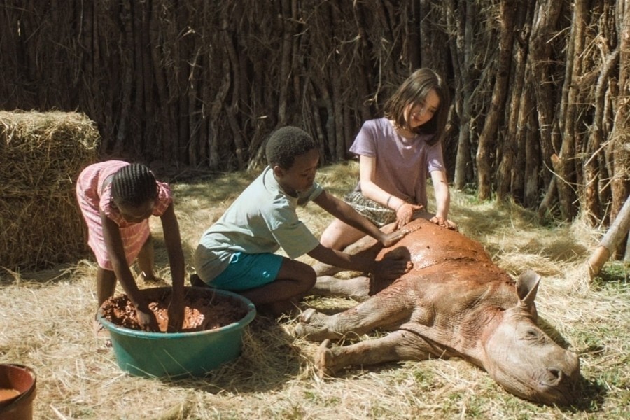 Thabo en de neushoornzaak
