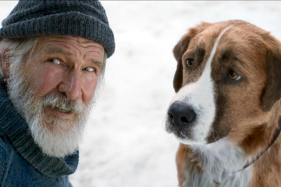 The Call of the Wild