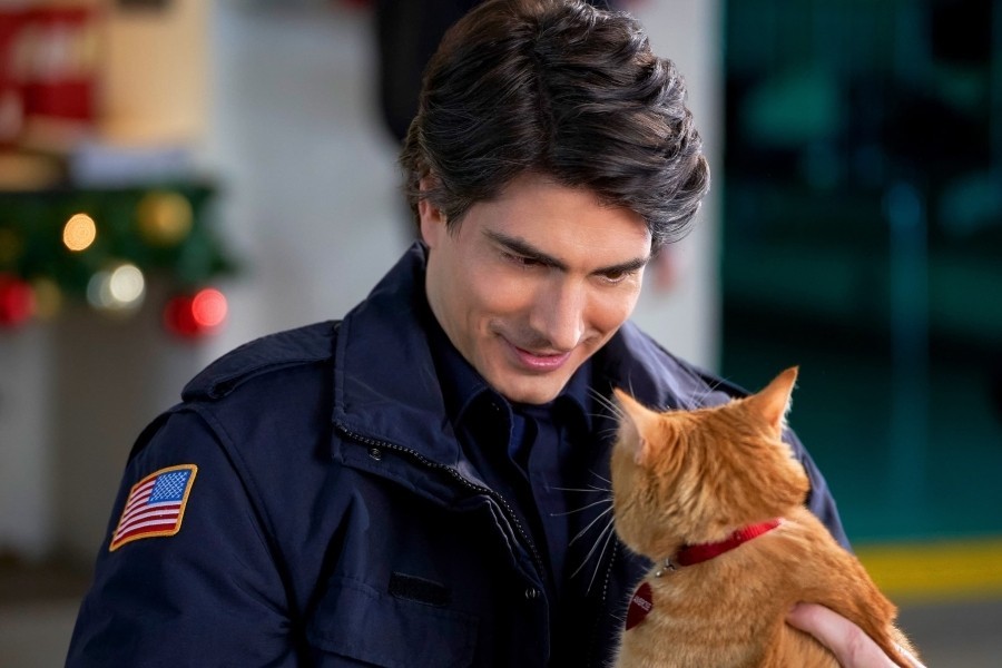 The Nine Kittens of Christmas