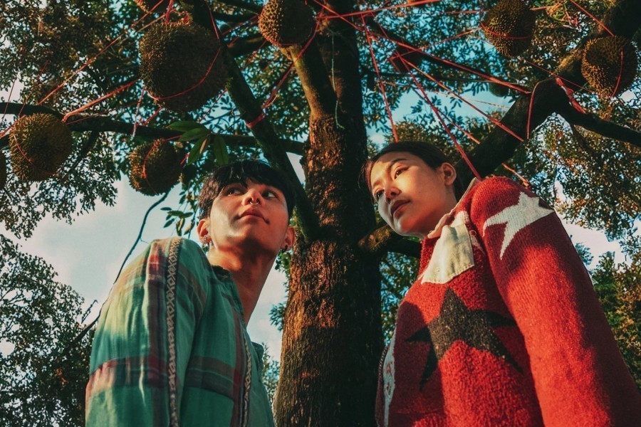 The Paradise of Thorns