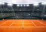Tennis: ATP 250 Tiriac Open