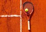 Tennis: ATP 500 - ABN Amro Open