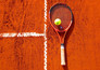 Tennis: ATP 500 - ABN Amro Open