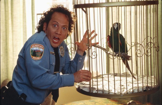 Rob Schneider