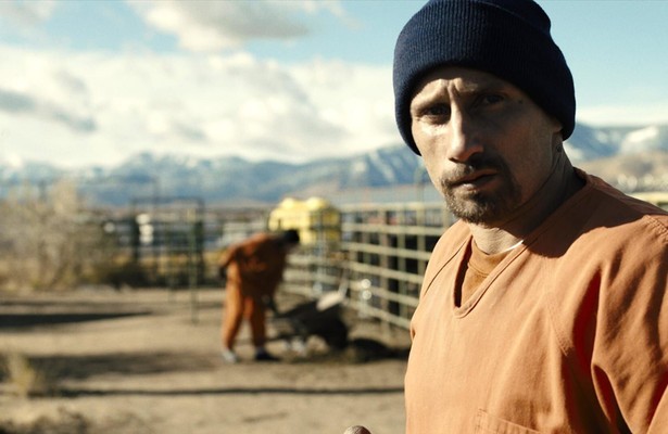 Matthias Schoenaerts in The Mustang