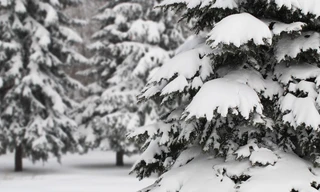 Weiße Weihnachten mit Wincent Weiss