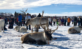 Wintersonne in Nordnorwegen