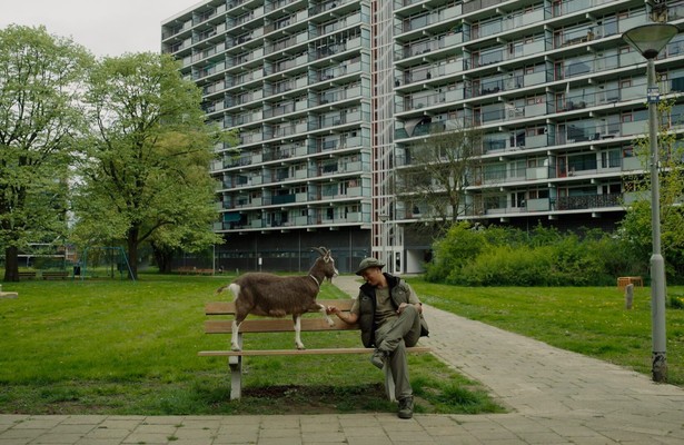 Wilde buren alleen maar love