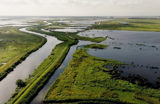Wildernis onder water
