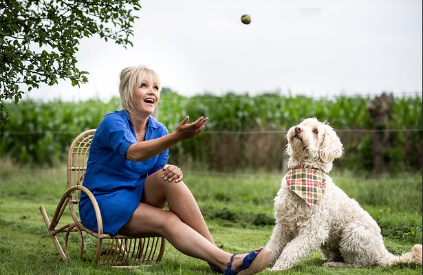 Labradoodle Tommy moet het komend seizoen missen