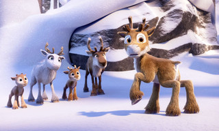 Zappbios: Niko voorbij het noorderlicht