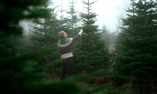 Zur Feier des Tages: Weihnachten