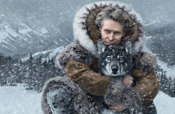 Disney Plus-tip: Togo