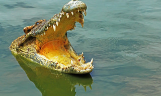 Australia's Land of the Ancients