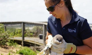Australiens schönste Küstenstraße - Die Great Ocean Road