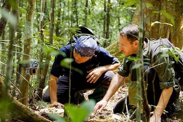 Mooie grote katten in Big Cats