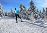 Cross-country Skiing