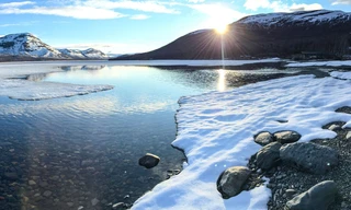 Die kleinen Giganten des Nordens - Das Geheimnis der Lemminge