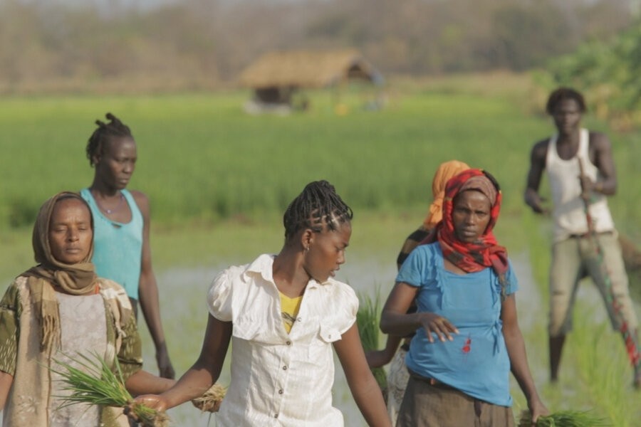 Dead donkeys fear no hyenas