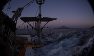 Hunt for the Giant Squid